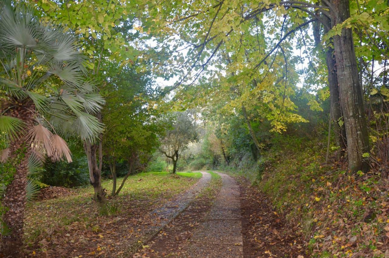 Apartamento Il Giardino Secreto Manziana Exterior foto