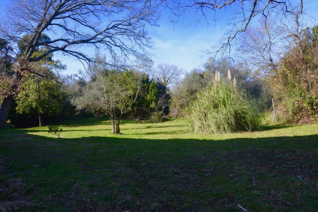Apartamento Il Giardino Secreto Manziana Exterior foto